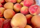 Já pensou nas frutas do Natal? Preço da caixa de kiwi e pêssego chega a R$ 170 em MS