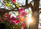 Primavera se despede com calor e chuva em Mato Grosso do Sul
