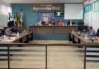 Fiscal ou Defensor? O Caso que Intriga Aral Moreira