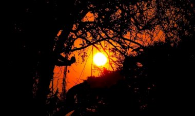 Com 38°C, cidades de Mato Grosso do Sul lideram ranking das mais quentes do Brasil