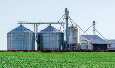 Com déficit de capacidade, MS tem 534 estabelecimentos de armazenagem de grãos, aponta IBGE