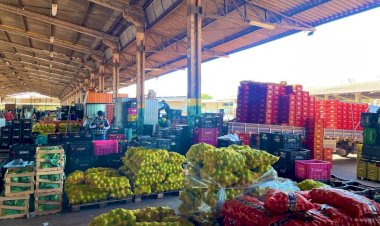 Frutas lideram vendas em mais de 46