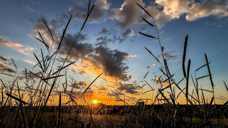 Últimos dias de calor serão de tempo seco e máxima de 36°C em Mato Grosso do Sul