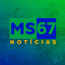 MS67 Notícias